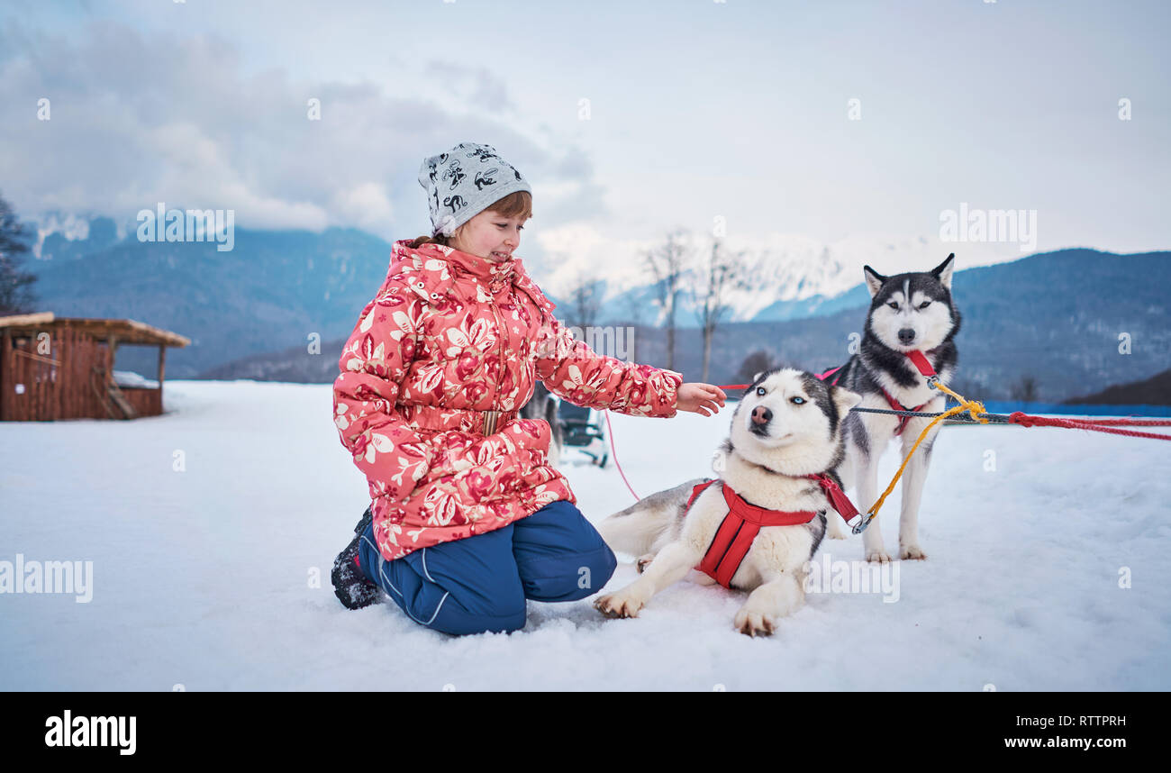 girl with dogs in winter in the mountains Stock Photo