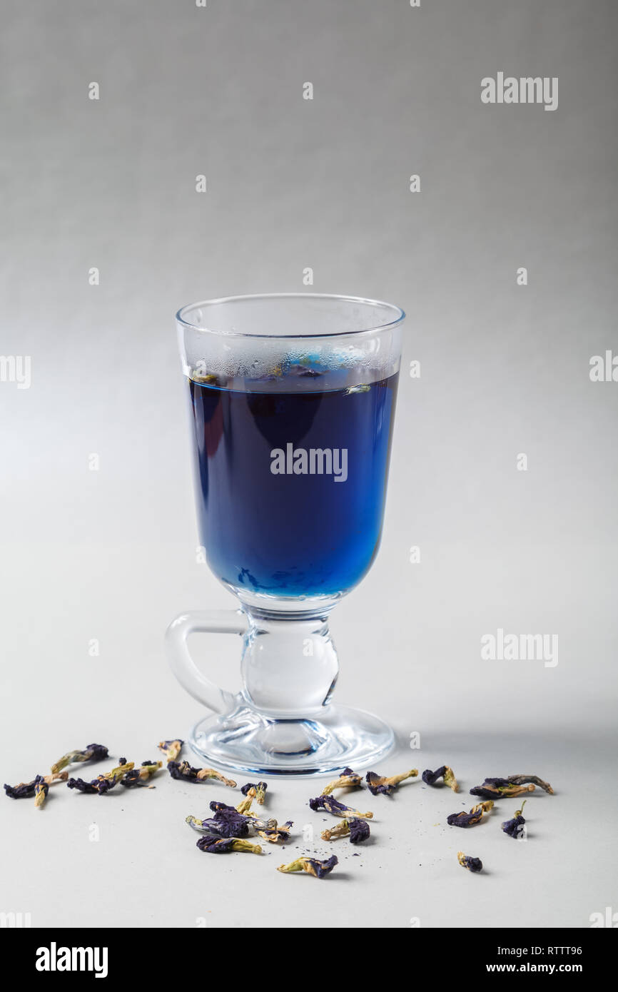 Pour the milk into a Cup of blue butterfly pea tea Anchan on a gray ...