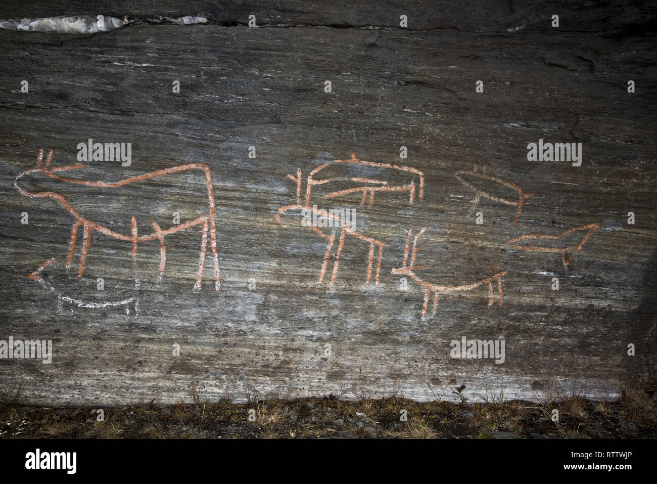 Perhaps 5000 years ago stoneage fishermen and Reindeer herders made rock carvings at Skavberget on Kvaløya island in Northern Norway. Stock Photo