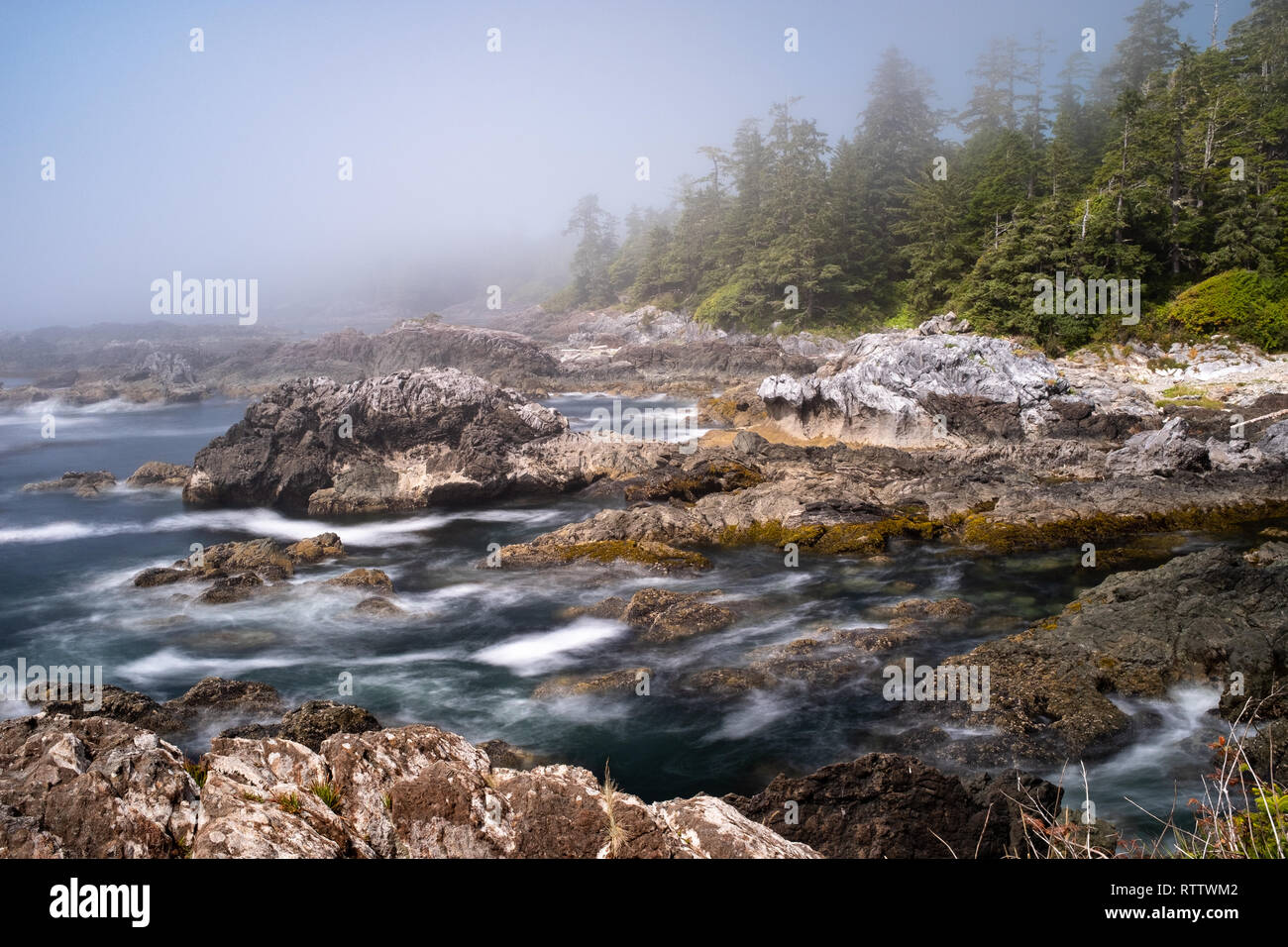 Wild Pacific Rim Trail, Ucluelet, on the Ucluelet Peninsula on the west coast of Vancouver Island in British Columbia, Canada. Mist lifting over the r Stock Photo