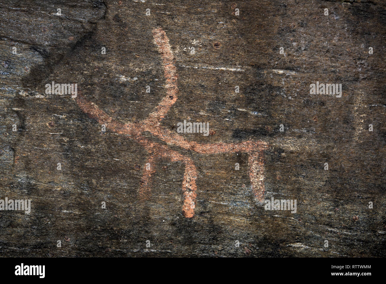 Perhaps 5000 years ago stoneage fishermen and Reindeer herders made rock carvings at Skavberget on Kvaløya island in Northern Norway. Stock Photo