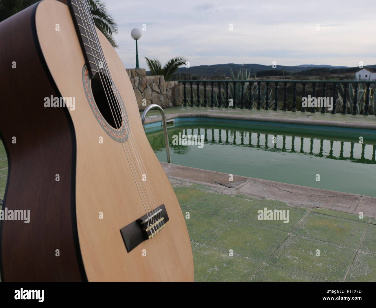 A creative capture concept of an bright wood acustic guitar with a background palmtree and a pool water mirror and a green floor behind  at sunlight. Stock Photo