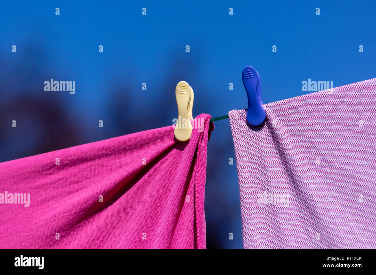 Cloths pegs on a washing line Stock Photo