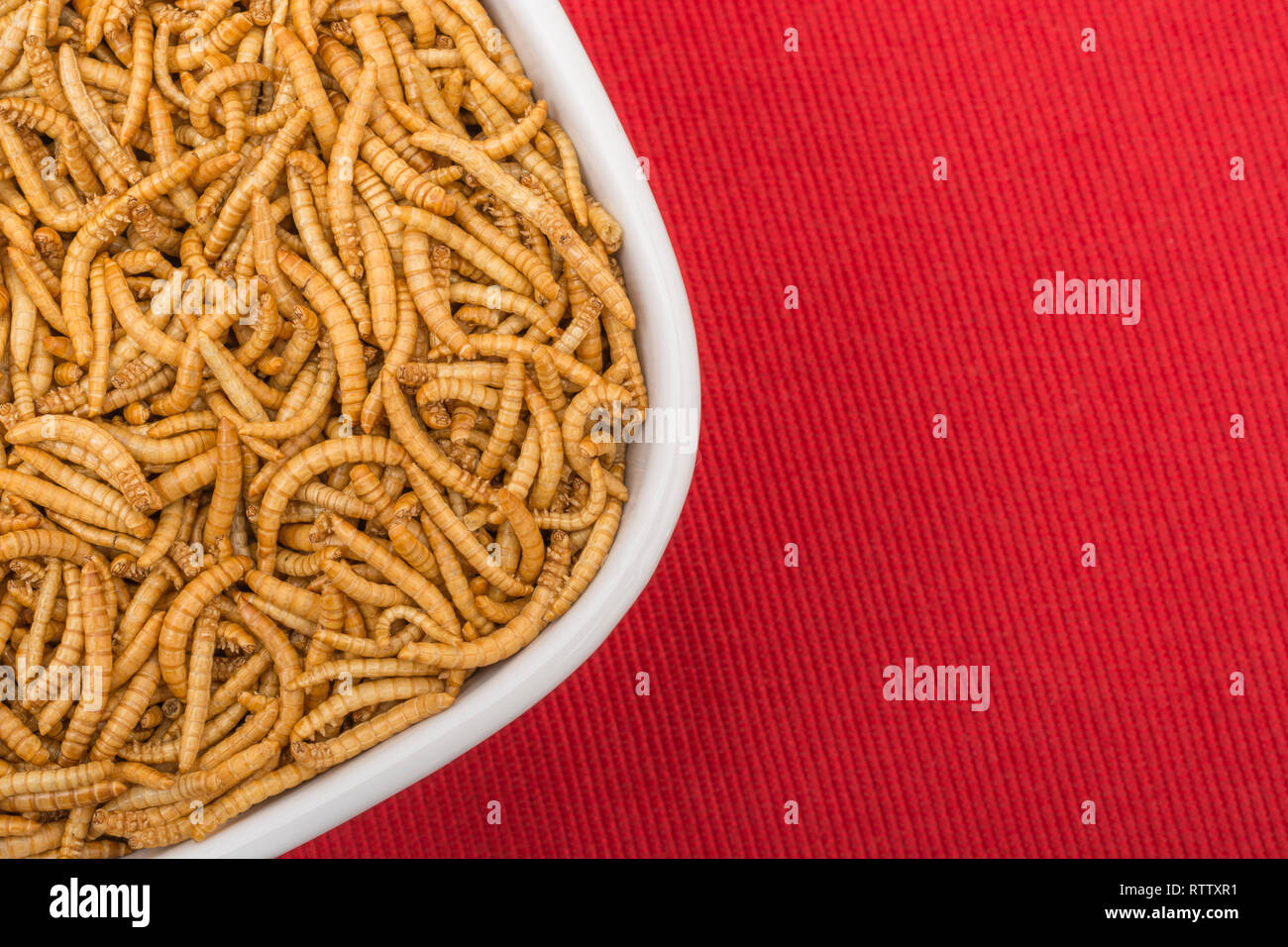 Freeze Dried Mealworms High Resolution Stock Photography and Images Alamy