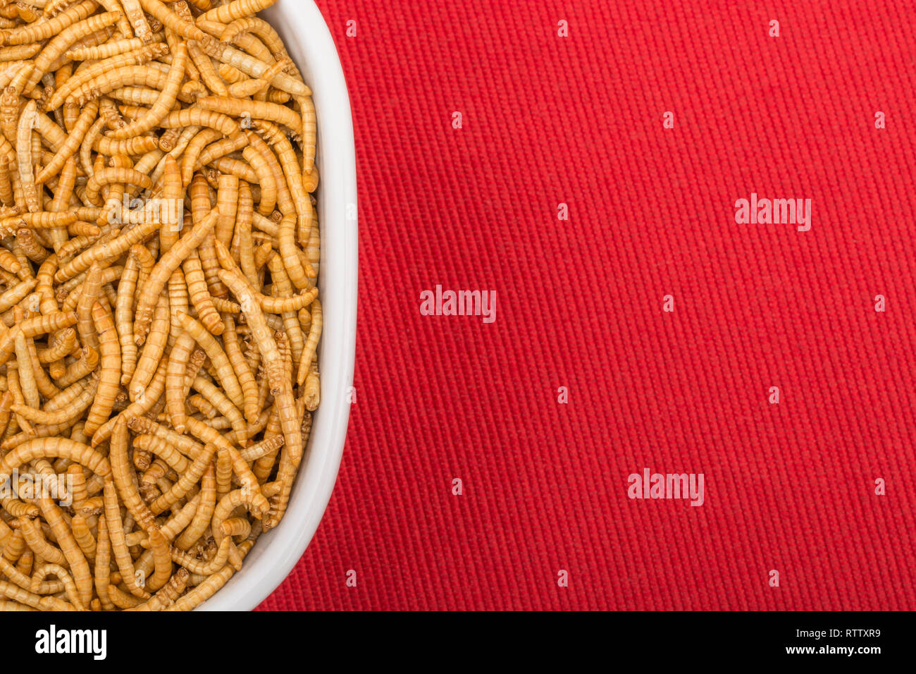 Dried worms hi-res stock photography and images - Alamy