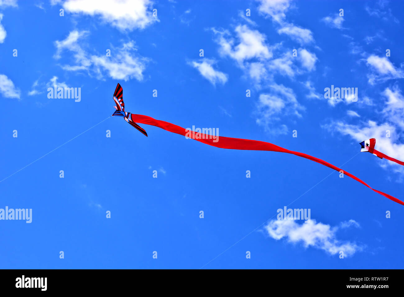 Two red kites hi-res stock photography and images - Alamy