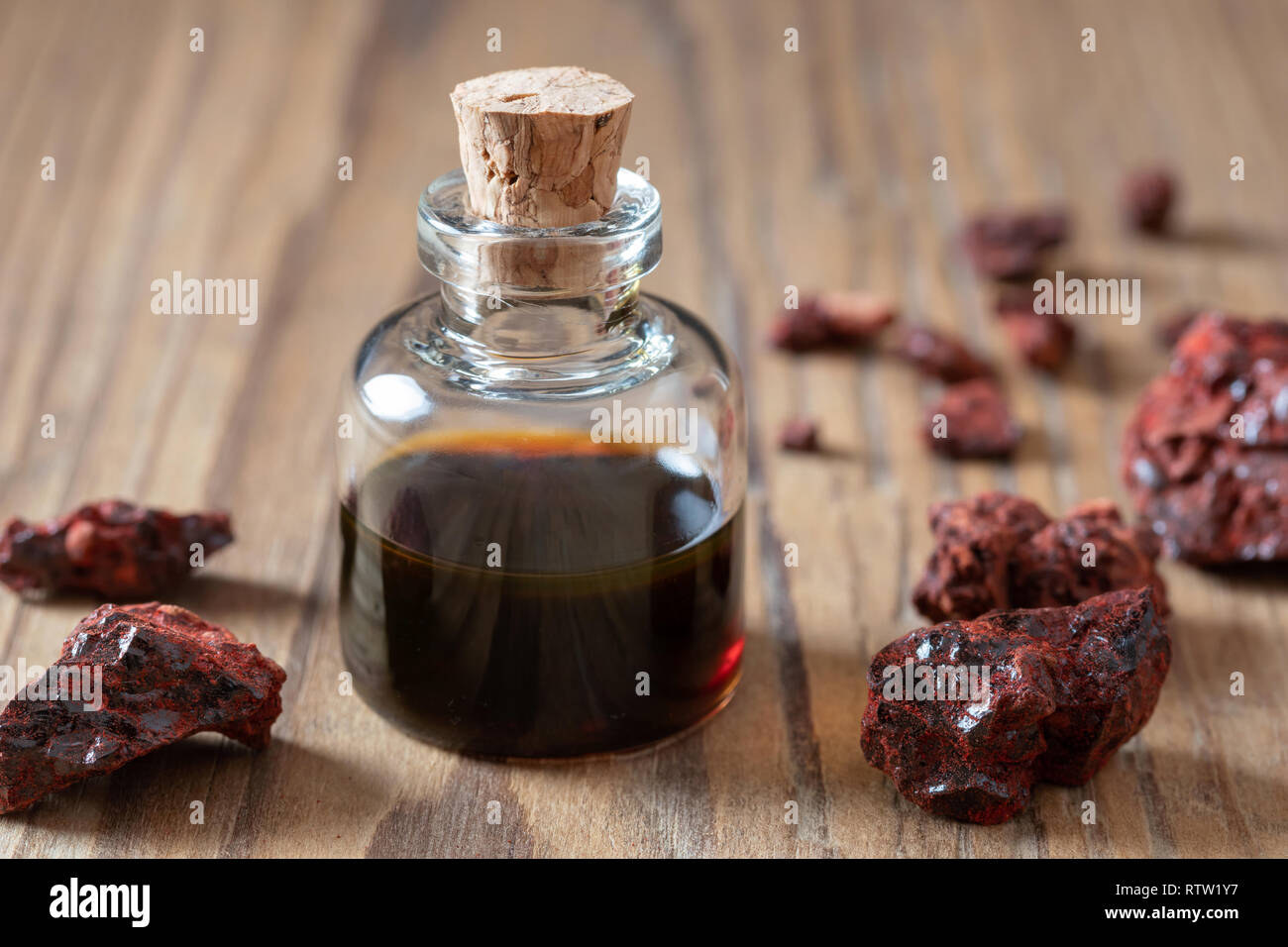 Croton lechleri, or sangre de drago oil and resin Stock Photo Alamy
