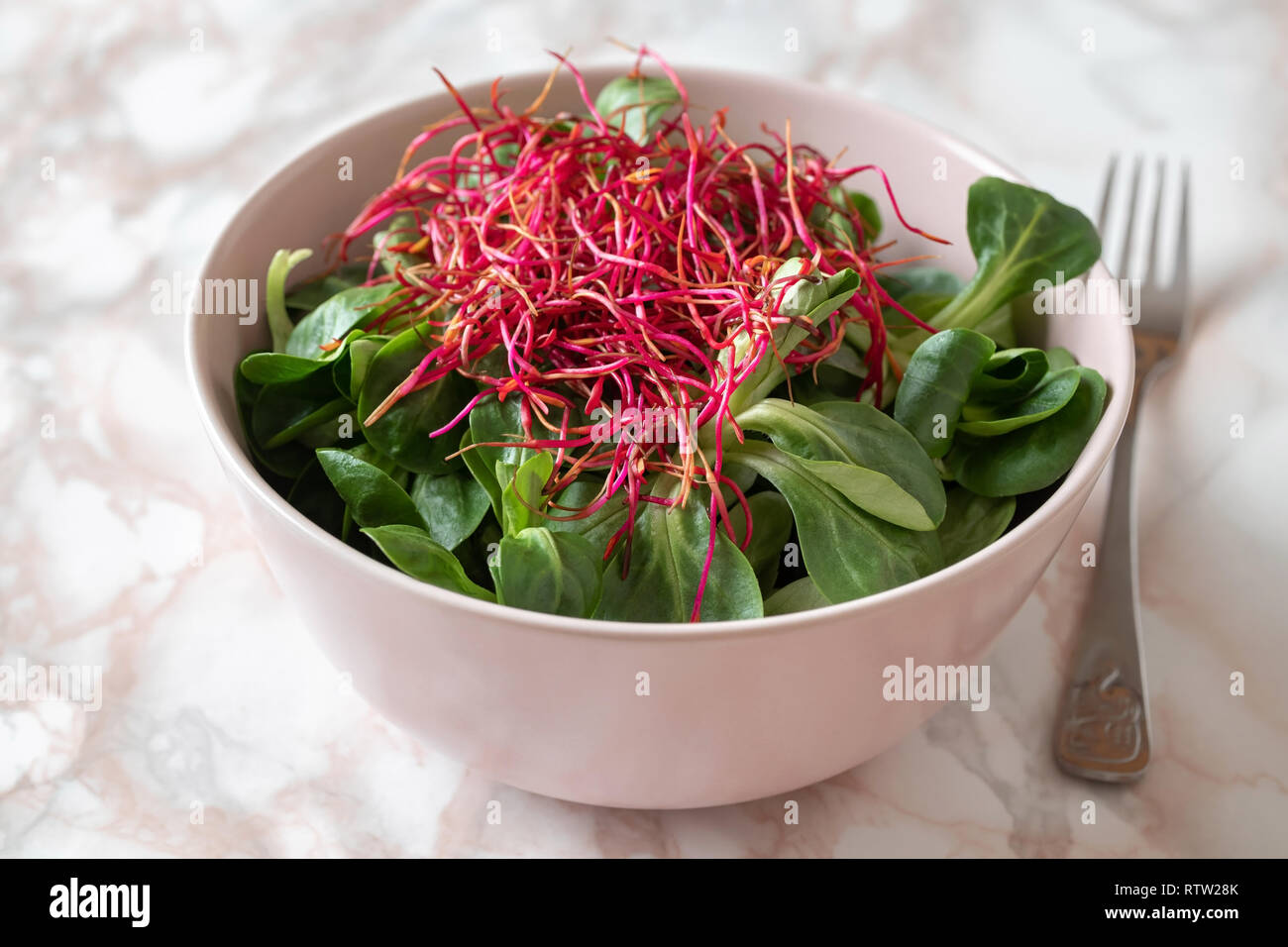 Salad with lamb's lettuce and fresh red beet sprouts Stock Photo