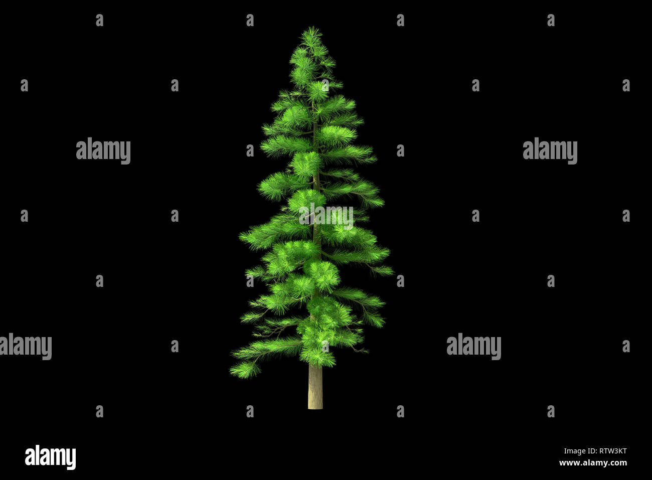 Download Beautiful Christmas Tree Isolated On A Black Background 3d Illustration Stock Photo Alamy PSD Mockup Templates