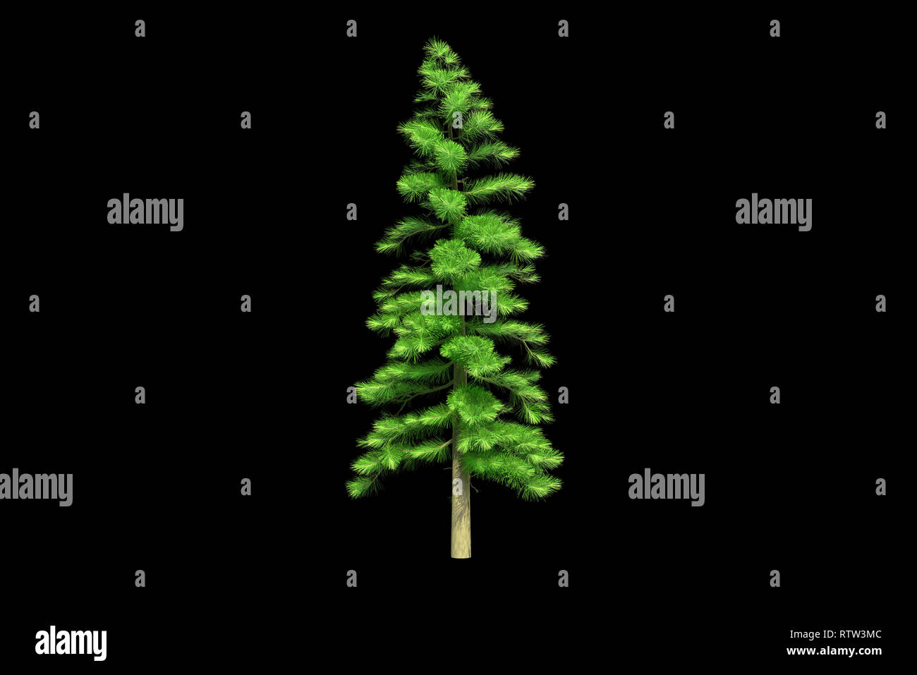 Beautiful christmas tree isolated on a black background. 3d ...