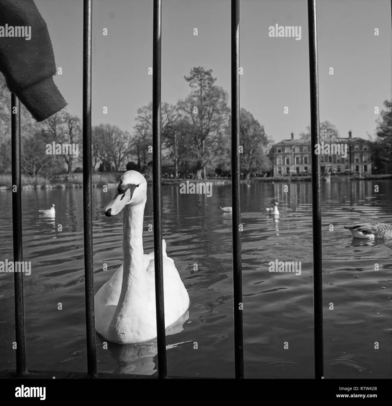 Kew Gardens is a botanical garden in London with the most diverse