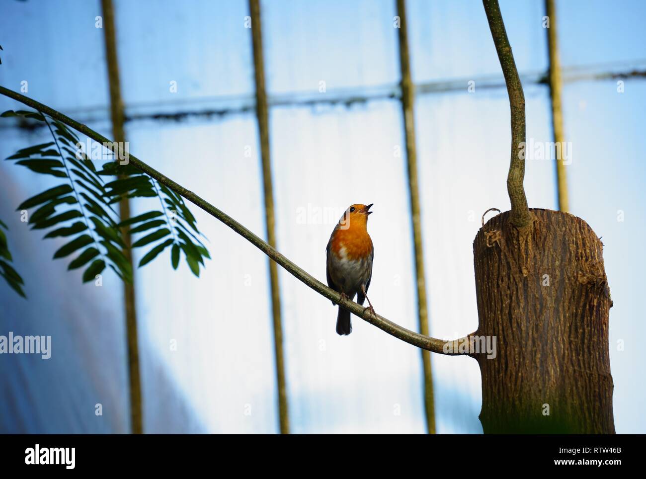 Exhibition In Kew Gardens High Resolution Stock Photography and Images
