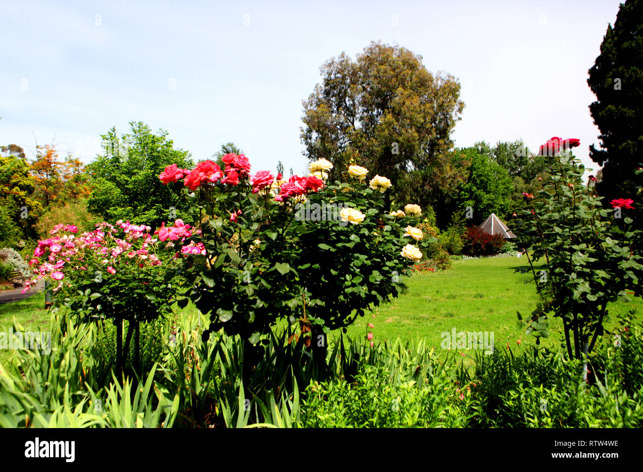 Visit Australia.  Scenics and views of Australia.  Melbourne’s  the Abbotsford Convent – with its 11 historic buildings and gardens. Stock Photo