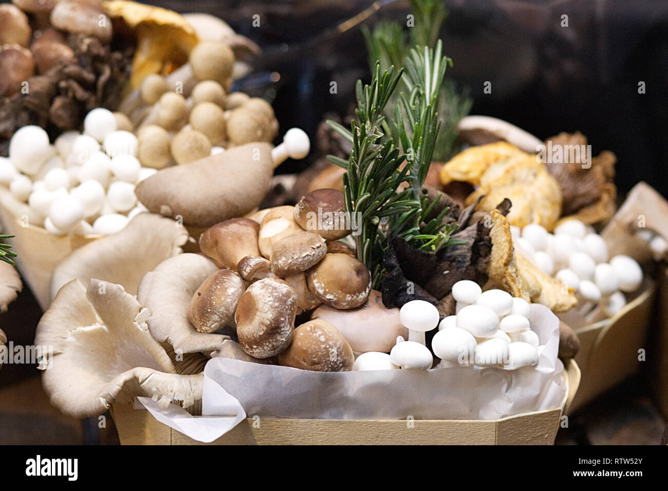 assorted mushrooms in a containers Stock Photo