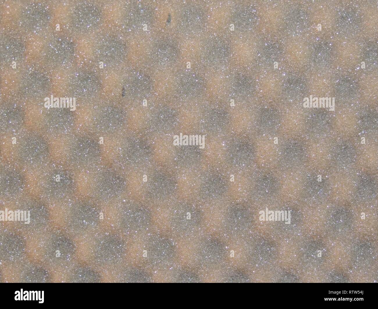 Gallery image with a fresh perspective