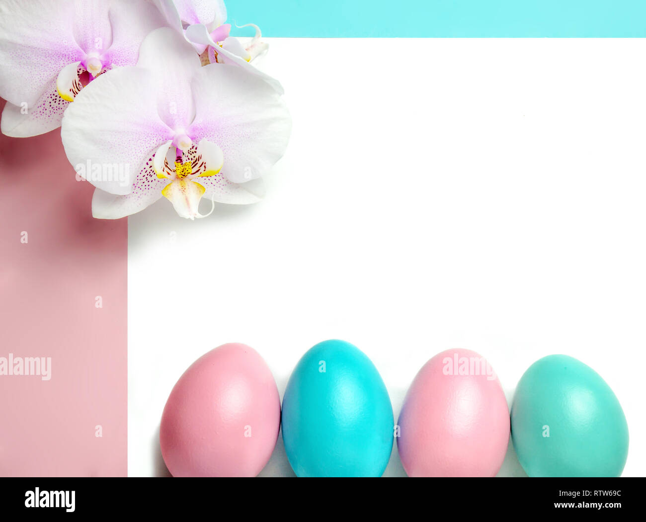 Pink blue easter eggs on pastel color background with space for text and white orchid Stock Photo
