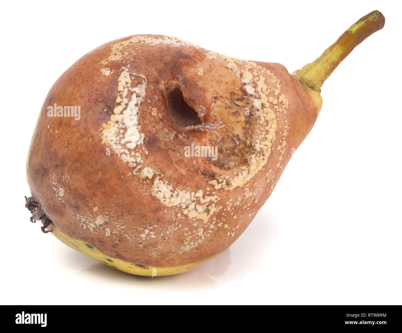 rotten pear isolated on a white background closeup Stock Photo