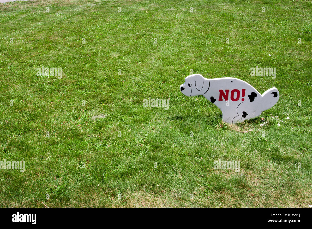Spike the dog hires stock photography and images Alamy