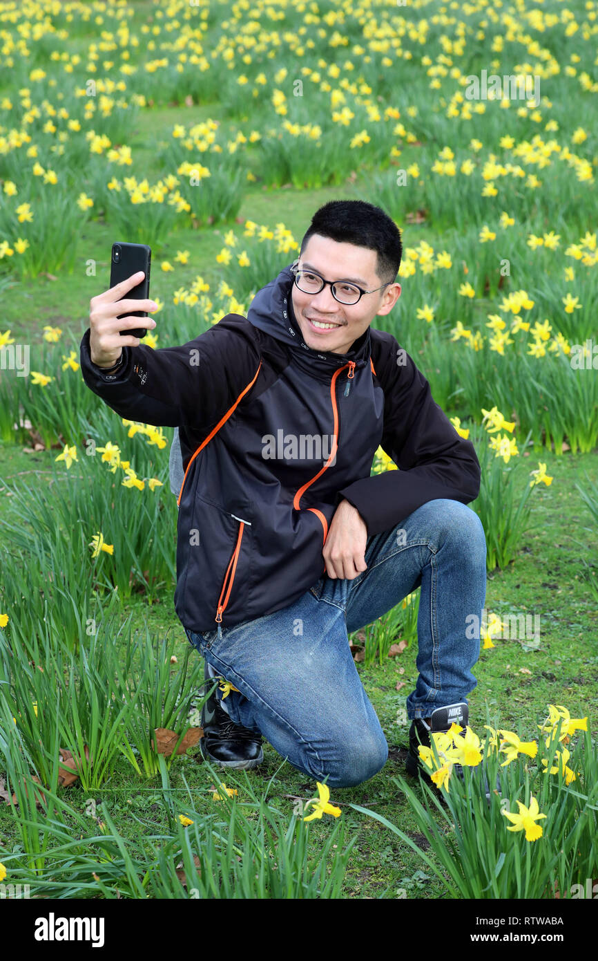 London, UK. 2nd March 2019. Cheng-Hua, visiting from Taiwan takes selfie photos with the daffodils in St James Park in London which are in bloom much earlier than normal due to the unseaonably warm weather recently Credit: Paul Brown/Alamy Live News Stock Photo