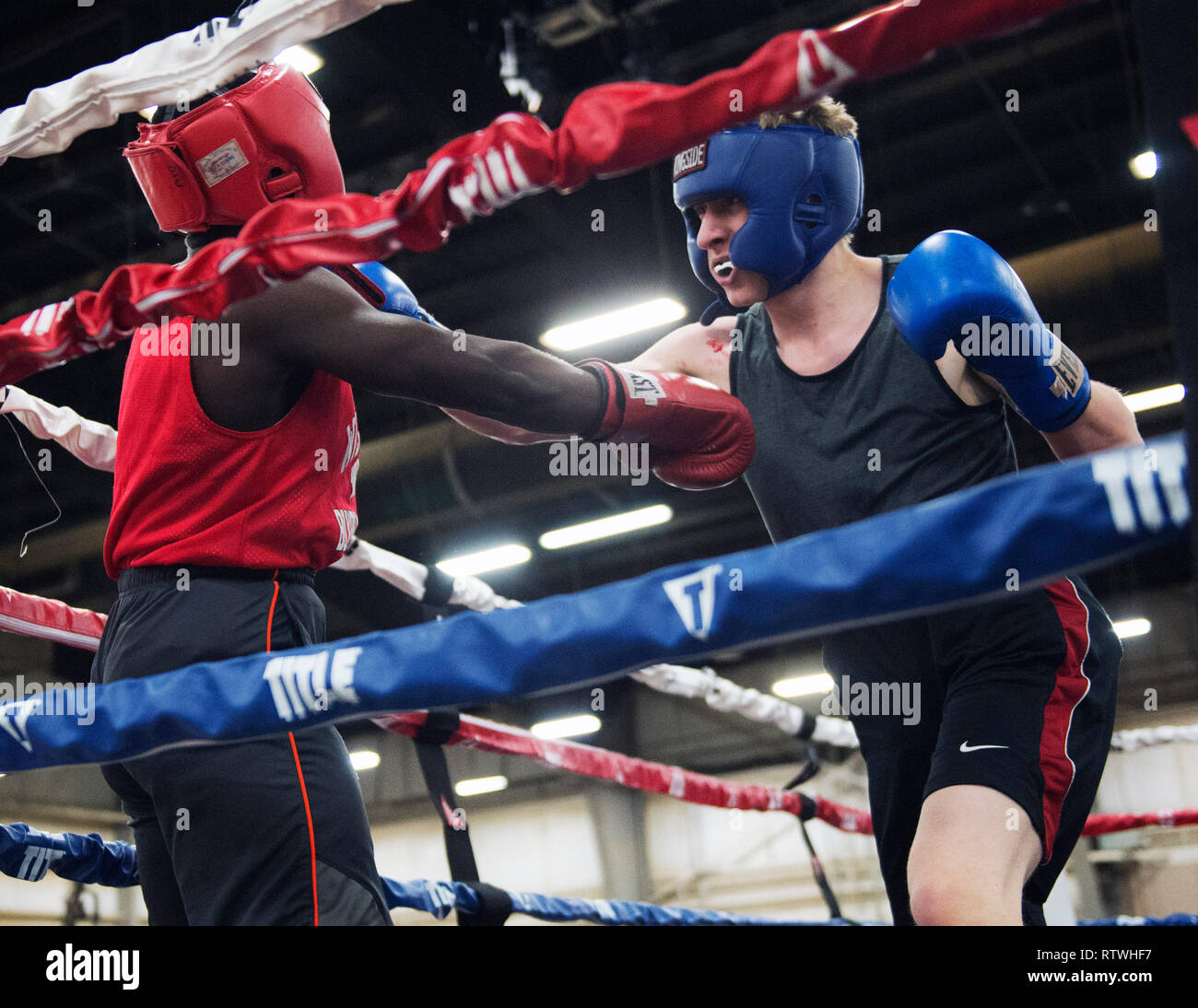 March 2, 2019: Matt Cikowski of Illinois (right) hits Jovaughn Bowen of Wisconsin (left) with a right hand in the Amateur Boxing competition  at the Arnold Sports Festival in Columbus, Ohio, USA. Brent Clark/Alamy Live News Stock Photo