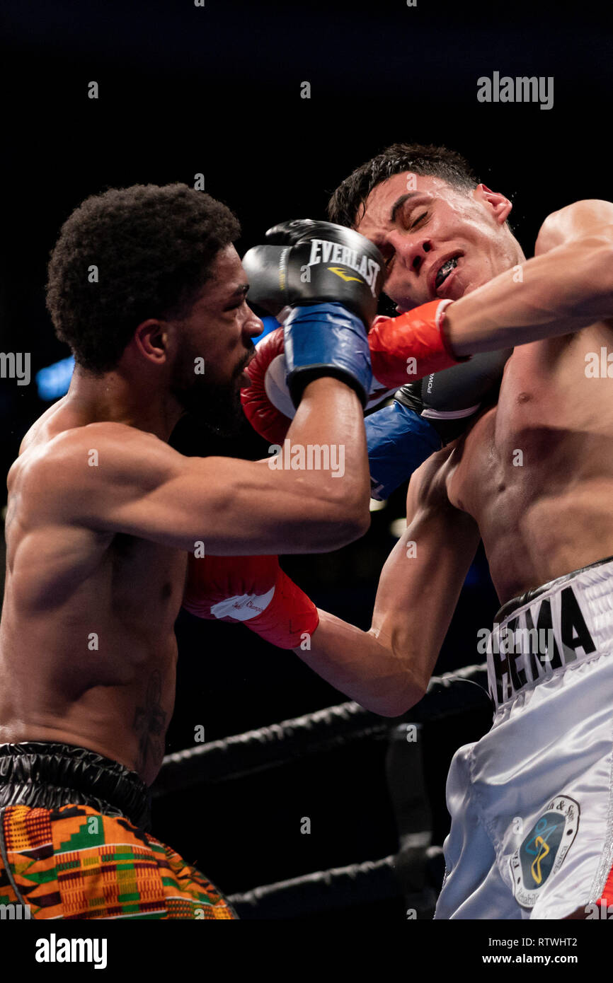 Brooklyn, New York, USA. 2nd Mar, 2019. ANTONIO RUSSELL (multicolored trunks) battles JOSE MARIA CARDENAS in a bantamweight bout at the Barclays Center in Brooklyn, New York. Credit: Joel Plummer/ZUMA Wire/Alamy Live News Stock Photo