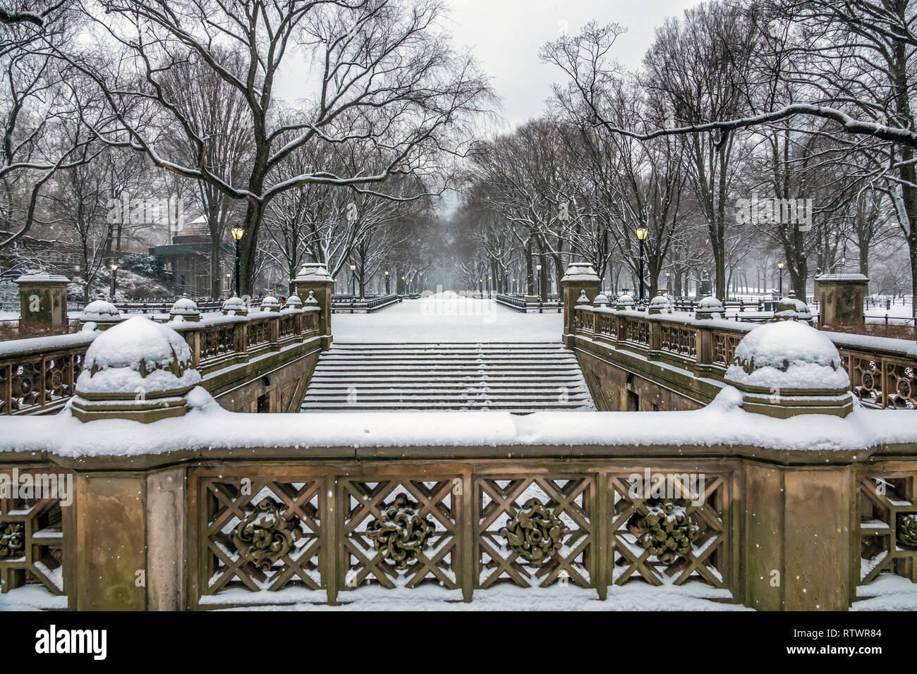 Central Park, Manhattan, New York City in winter at the mall in snow ...