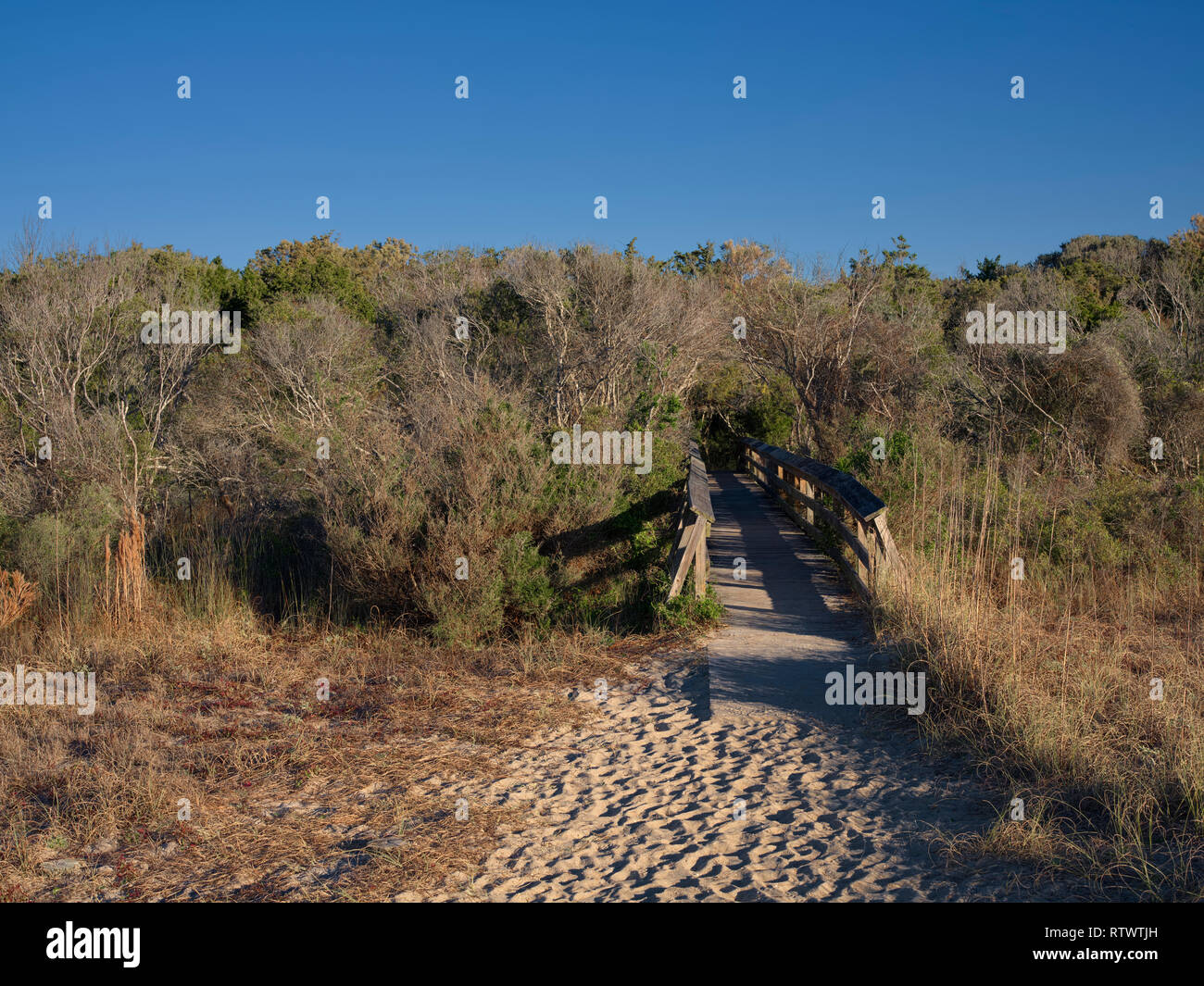 Huntington Beach State Park South Carolina. Boardwalk to beach. Stock Photo