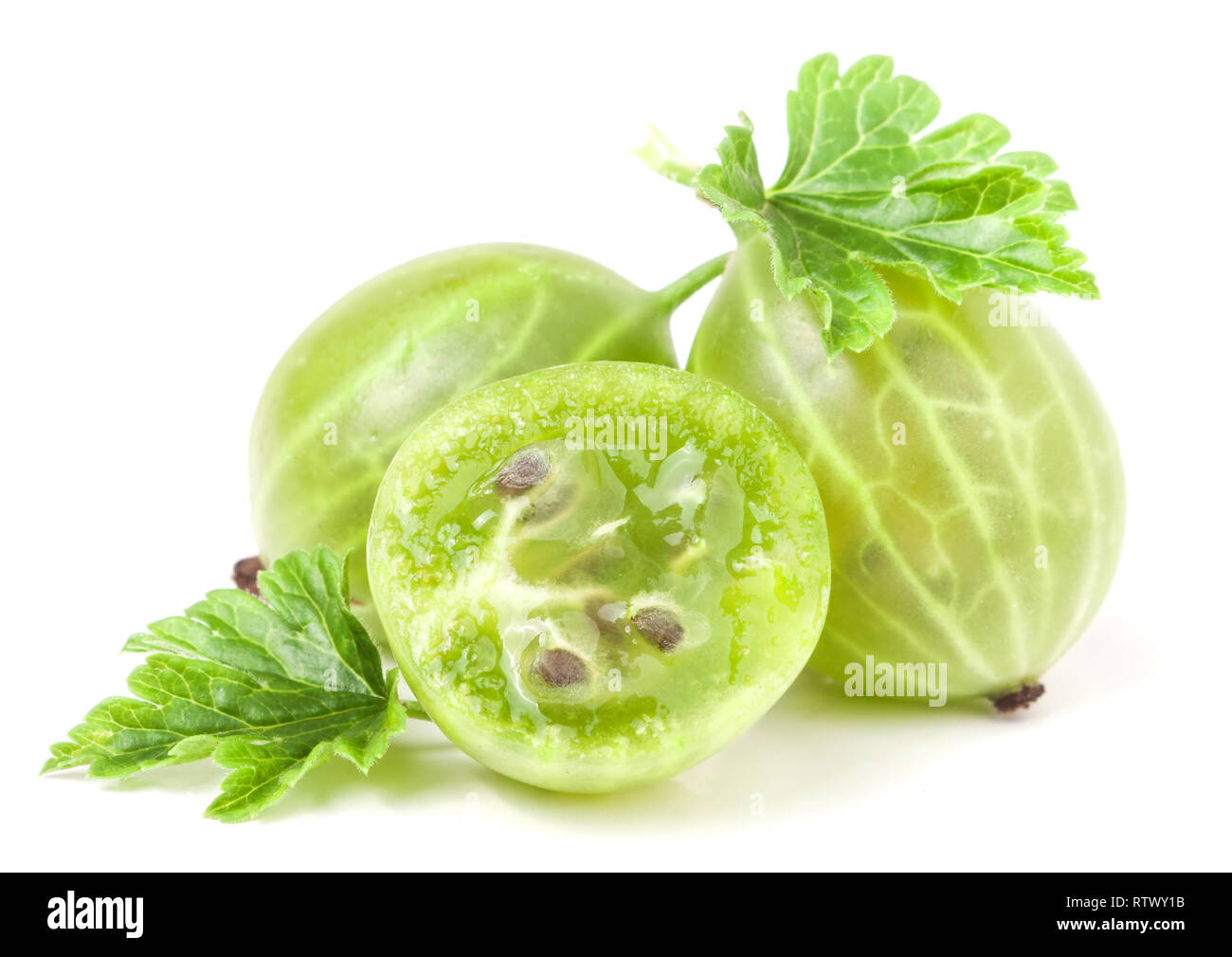 画材 Gooseberry index.php?id=1107538&t=w&