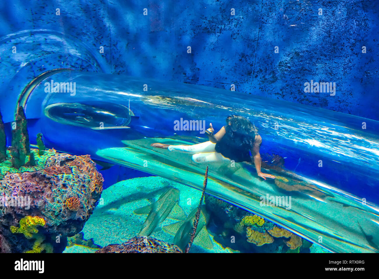 Toronto Ripleys Aquarium underwater scenic tunnels Stock Photo Alamy