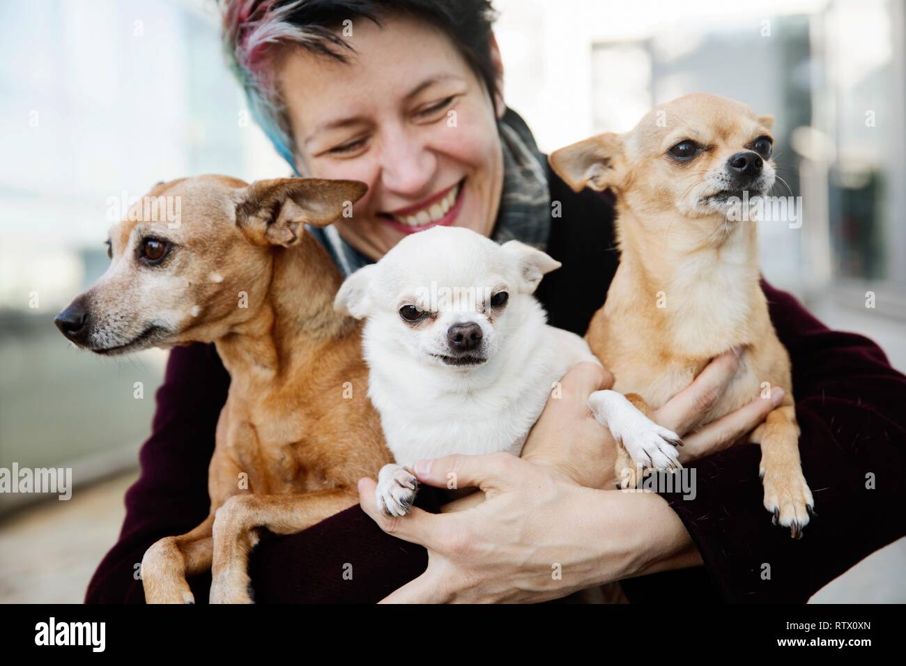 Laughing woman holding her three dogs in her arms, Miniature Pinscher
