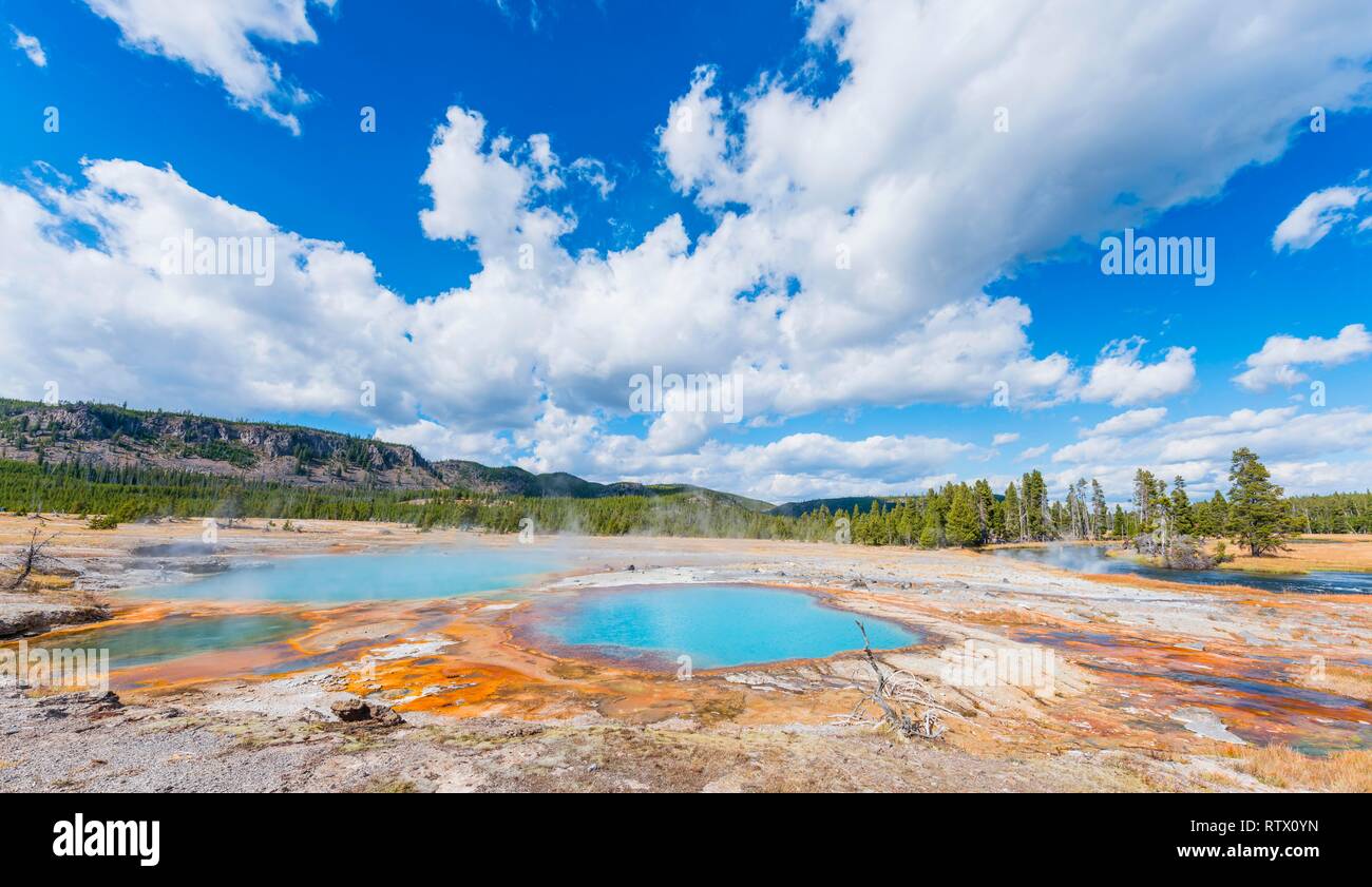 Black Opal Pool, Hot Spring, Yellow Algae and Mineral Deposits, Biscuit Basin, Yellowstone National Park, Wyoming, USA Stock Photo