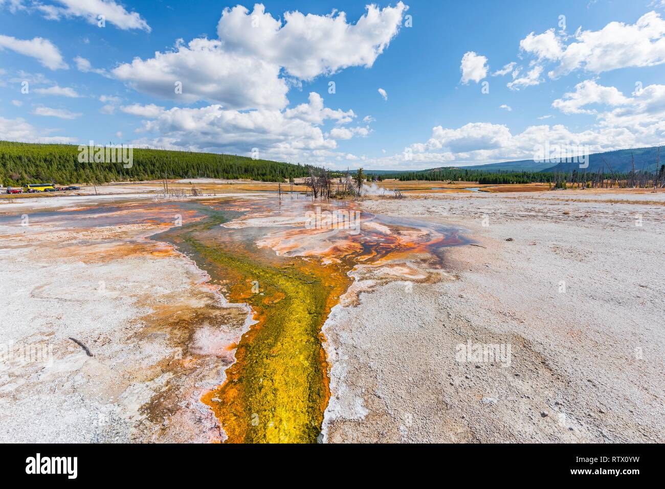 Hot spring, yellow algae and mineral deposits, Biscuit Basin, Yellowstone National Park, Wyoming, USA Stock Photo