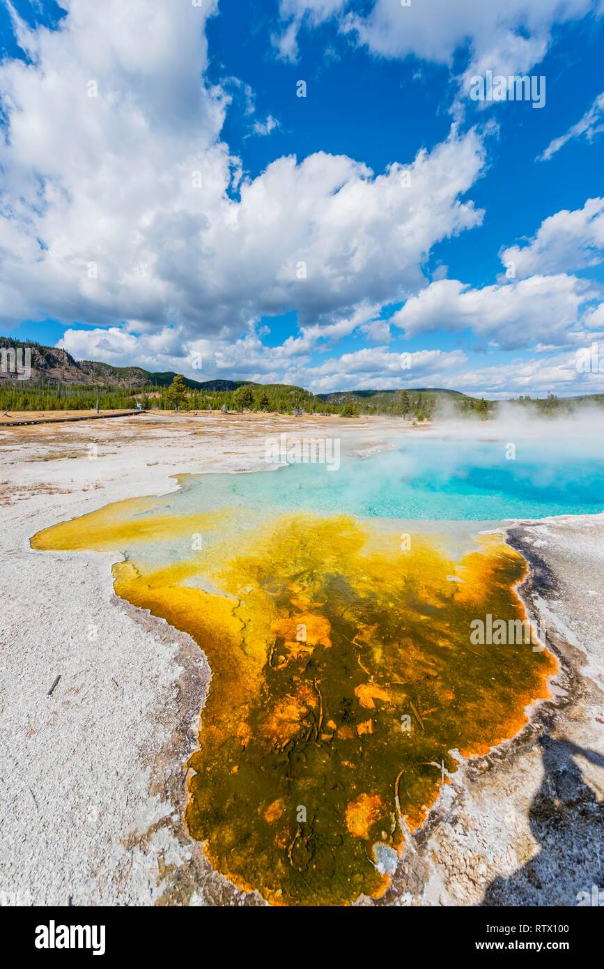 Hot spring, turquoise Sapphire Pool with yellow mineral deposits, Black Sand and Biscuit Basin, Yellowstone National Park Stock Photo