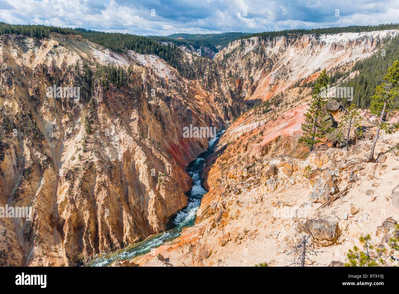 Yellowstone River flows through Gorge, Grand Canyon of the Yellowstone, Grand View, Yellowstone