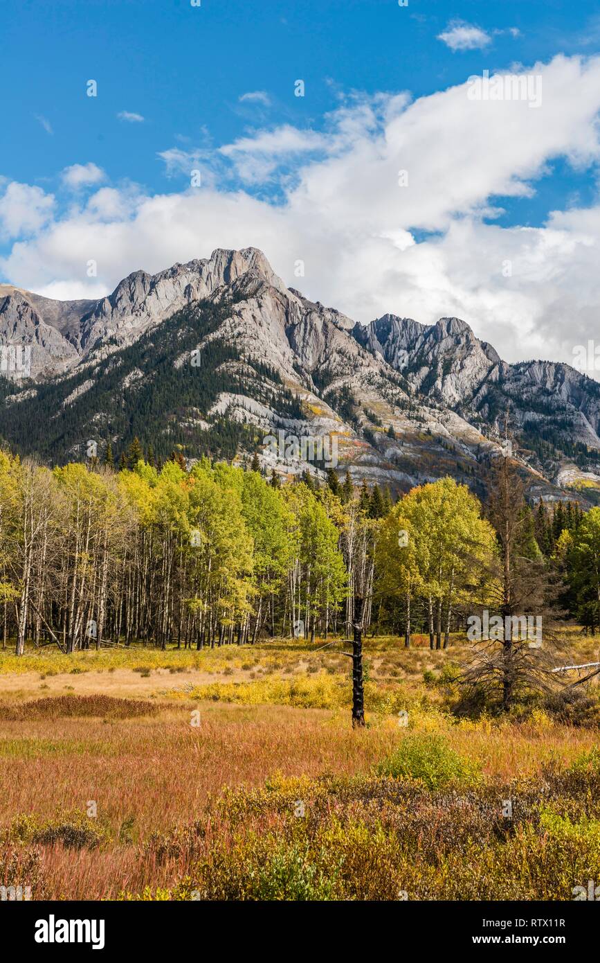 Fall Mountain Landscape, Cockscomb Mountain, Bow Valley, Banff National Park, Rocky Mountains, Alberta, Canada Stock Photo