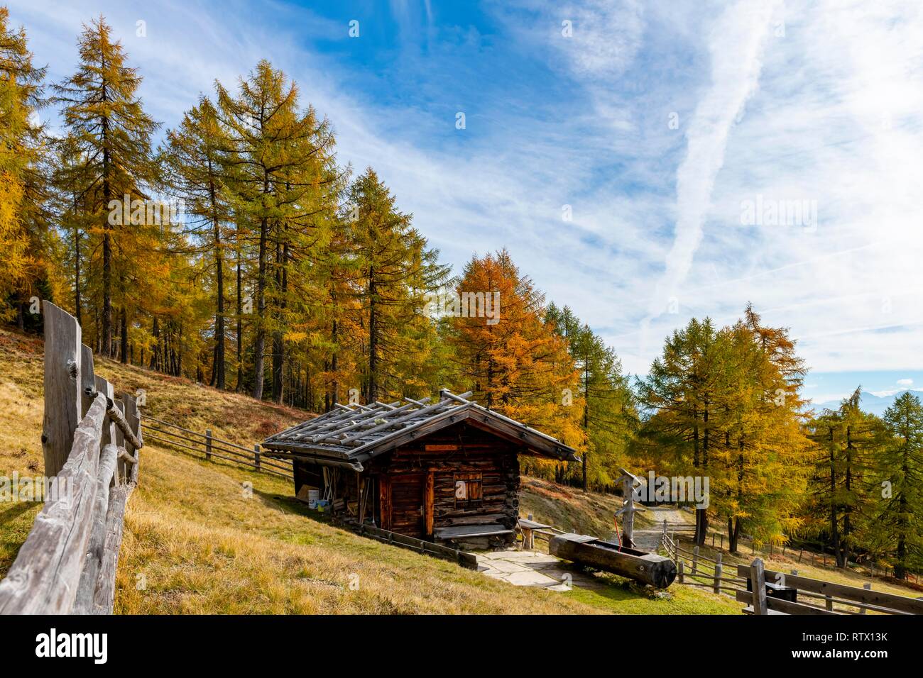 Mountain hut in a meadow with autumnal larch (Larix decidua) in the back, Vals Valstal, South Tyrol, Italy Stock Photo