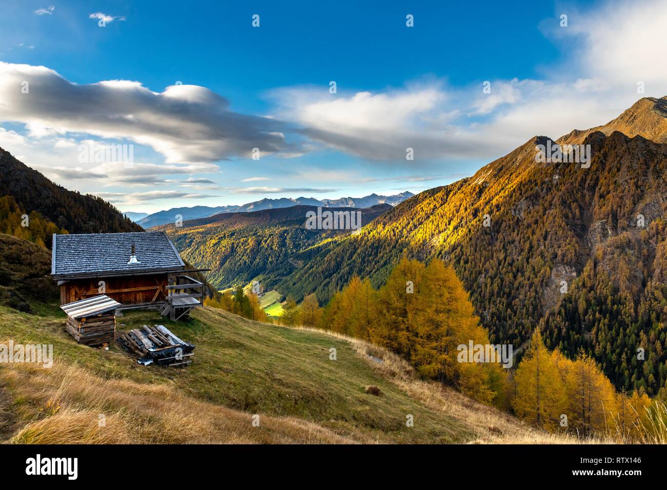 Mountain hut over valley with autumnal mountain larch forest (Larix decidua), Vals, Valstal, South Tyrol, Italy Stock Photo