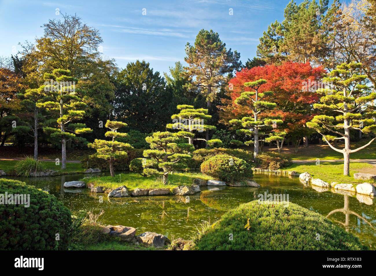 Japanese Garden in Nordpark, Düsseldorf, North Rhine-Westphalia, Germany Stock Photo