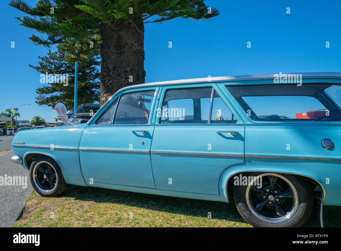 TAURANGA NEW ZEALAND - MARCH 3 2019; Vintage blue Holden Special station-wagon parked under Norflok pine on Pilot Bay Mount Maunganui. Stock Photo