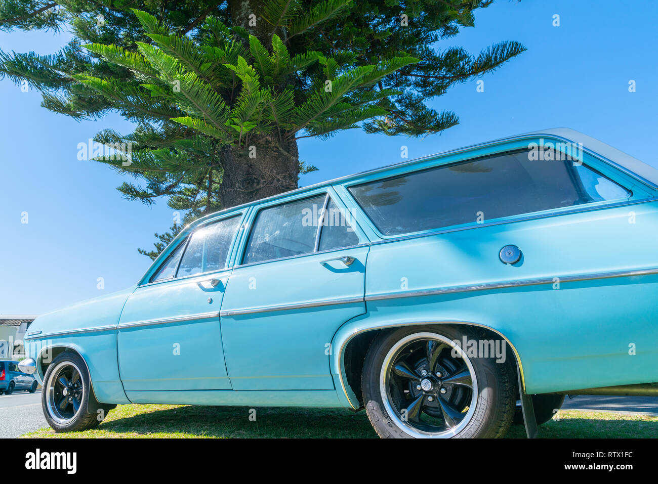 TAURANGA NEW ZEALAND - MARCH 3 2019; Vintage blue Holden Special station-wagon parked under Norflok pine on Pilot Bay Mount Maunganui. Stock Photo