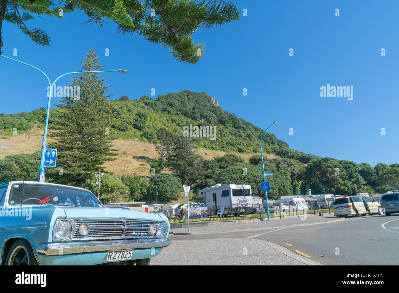 TAURANGA NEW ZEALAND - MARCH 3 2019; Vintage blue Holden Special station-wagon parked under Norflok pine on Pilot Bay Mount Maunganui. Stock Photo