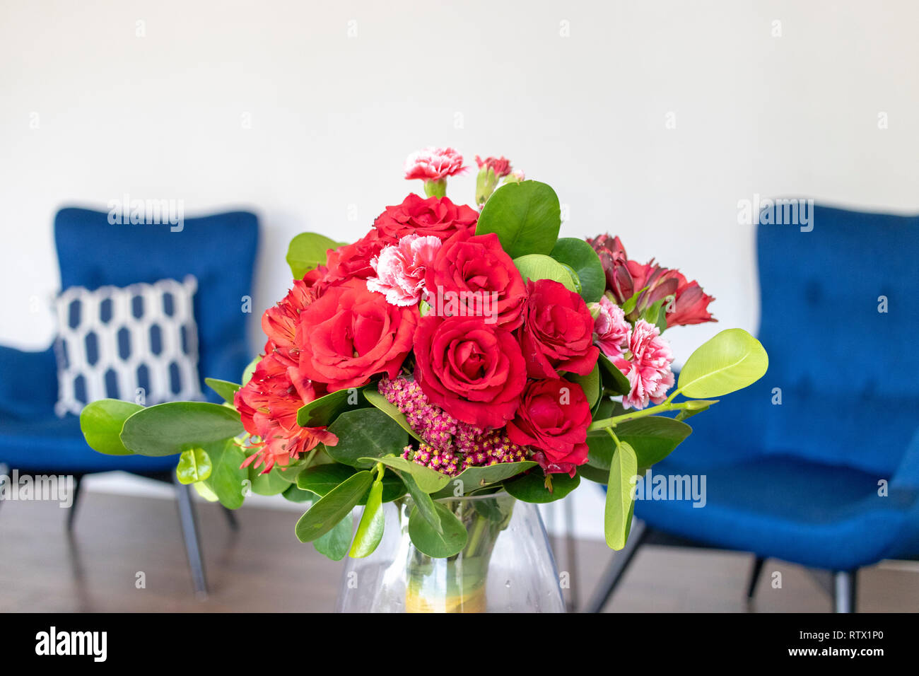 Closeup pink carnations hires stock photography and images Alamy
