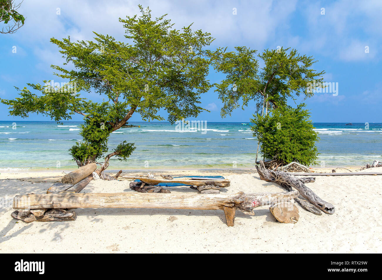 Tropical trees on the coast of Gili Trawangan in Indonesia. Stock Photo