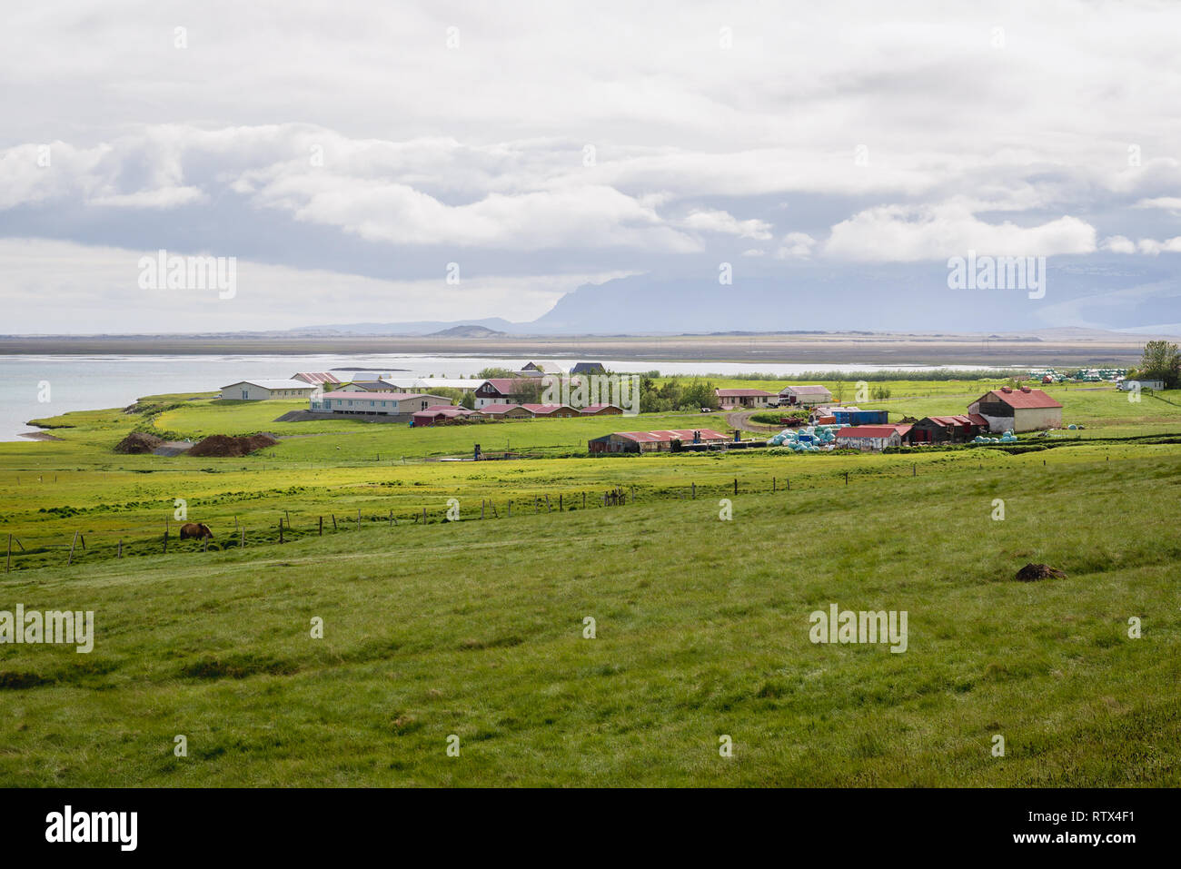 Reynivellir village on the Atlantic Ocean coast in southeast part of Iceland Stock Photo
