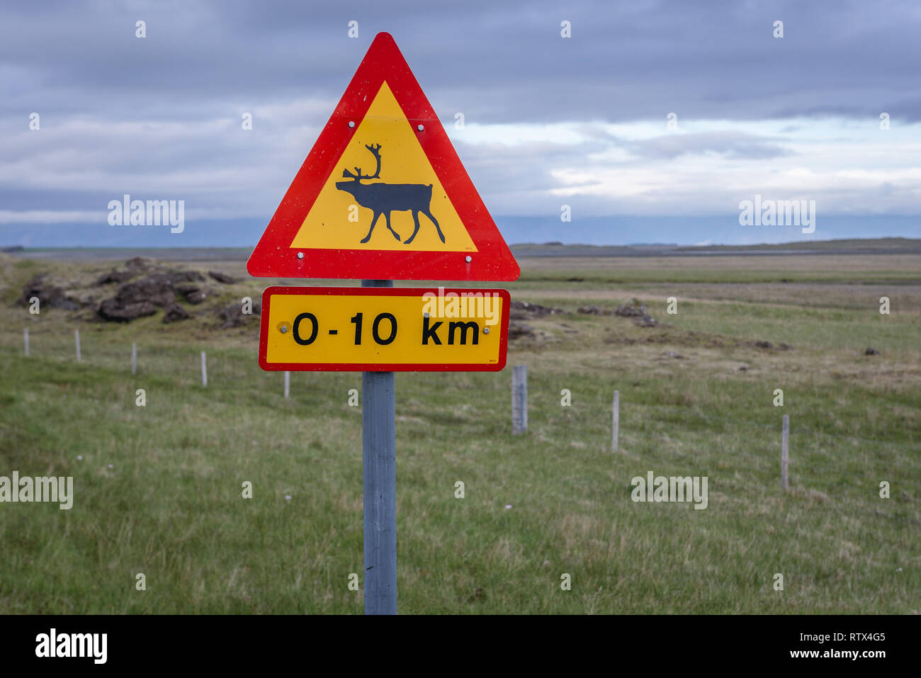 Reindeer crossing sign in the southeast part of Iceland Stock Photo
