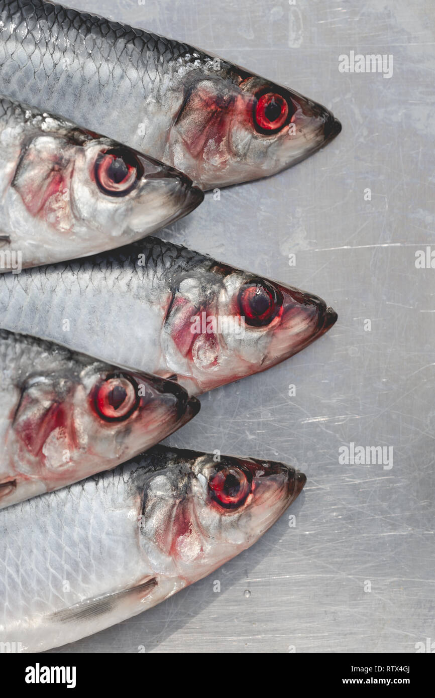 wet herring fishes contransting red eyes on silver plate macro close up shot Photo - Alamy