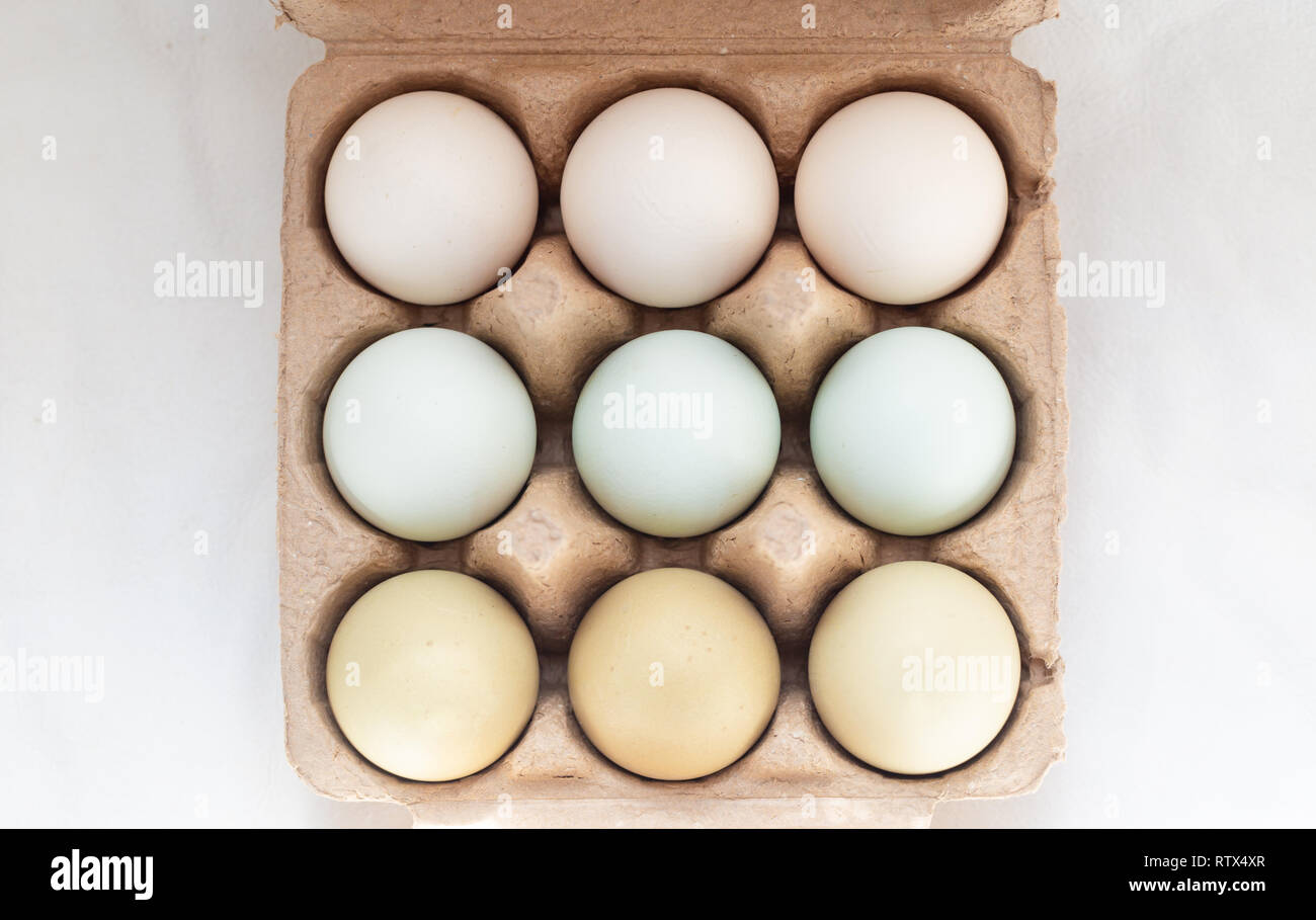 Plain multicoloured free range eggs in natural daylight in three by three cardboard holder. Close up top view composition Stock Photo