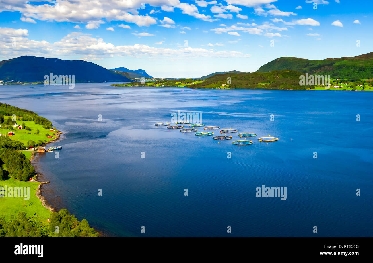 Farming norway hi-res stock photography and images - Alamy