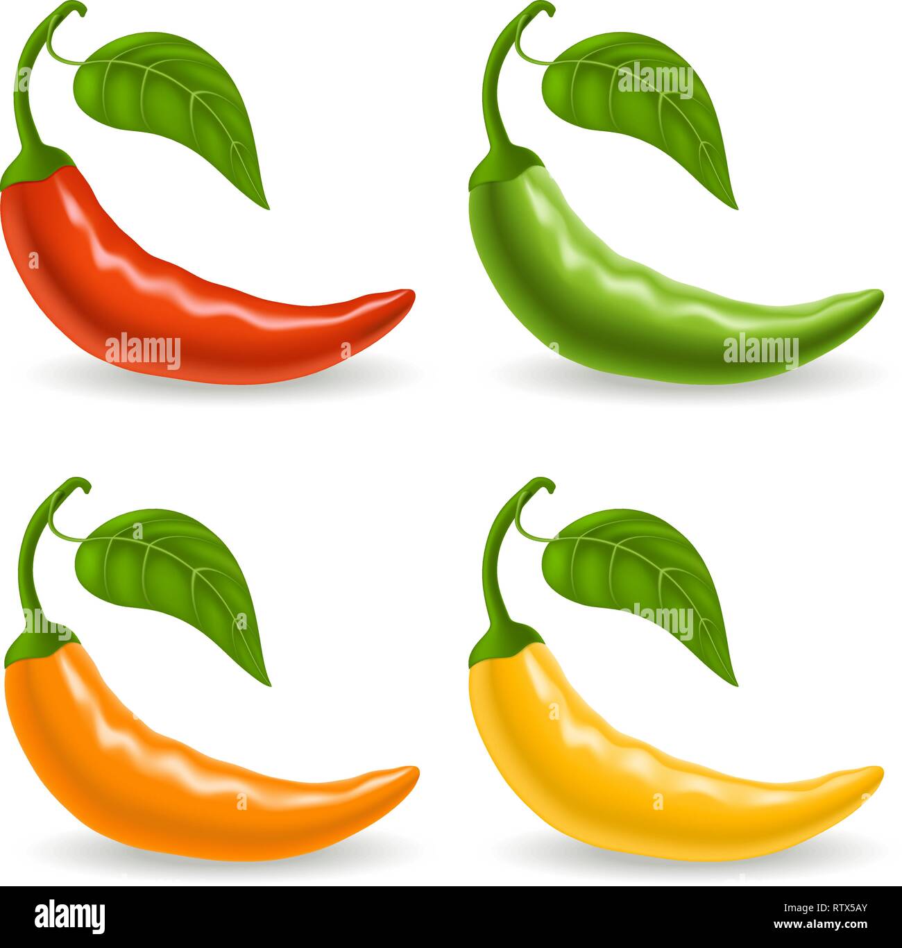Set with multicolor peppers isolated on white background. Vector illustration Stock Vector