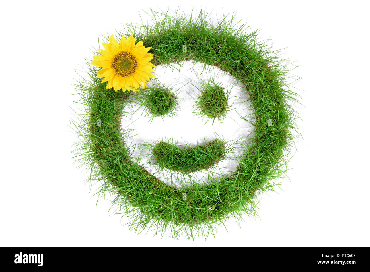 Grass Smiley on white Background Stock Photo